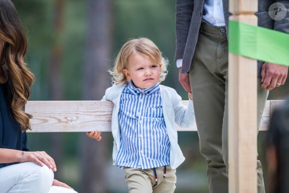 Le prince Alexander de Suède, accompagné de ses parents le prince Carl Philip et la princesse Sofia de Suède, a inauguré le 23 août 2018 une plate-forme d'observation à son nom au sein de la réserve naturelle Nynä dans le duché de Södermanland, dont il est le duc et où il effectuait, à 2 ans, sa première visite officielle.