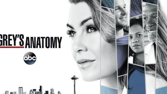 Grey's Anatomy : La série accueille son premier chirurgien gay
