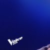 Mathéo dans "The Voice Kids 5" sur TF1, le 2 novembre 2018.