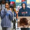 Avant de rompre, Ariana Grande et Pete Davidson avaient adopté ensemble un cochon domestique.