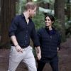 Le prince Harry, duc de Sussex et Meghan Markle, duchesse de Sussex (enceinte) visitent le site Redwoods Tree Walk à Rotorua, Nouvelle Zélande le 31 octobre 2018.