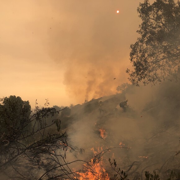 Les pompiers de Los Angeles combattent le feu "Woolsey" à Los Angeles. Le 11 novembre 2018.