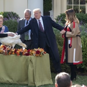 Le président américain Donald Trump et la première dame Melania Trump - Le président des États-Unis, Donald Trump, gracie la dinde "Peas" (petits pois) lors de la traditionnelle cérémonie de Thanksgiving à la Maison Blanche à Washington, le 20 novembre 2018.