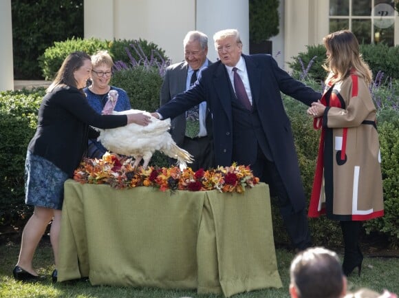 Le président américain Donald Trump et la première dame Melania Trump - Le président des États-Unis, Donald Trump, gracie la dinde "Peas" (petits pois) lors de la traditionnelle cérémonie de Thanksgiving à la Maison Blanche à Washington, le 20 novembre 2018.