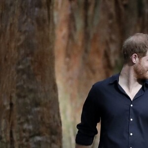 Le prince Harry, duc de Sussex et Meghan Markle, duchesse de Sussex (enceinte) visitent le site Redwoods Tree Walk à Rotorua, Nouvelle Zélande le 31 octobre 2018.