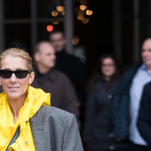 Céline Dion quitte l'hôtel de Crillon pour se rendre à l'hôtel Plaza Athénée à Paris le 29 janvier 2019 où elle doit tourner une publicité l'Oréal.