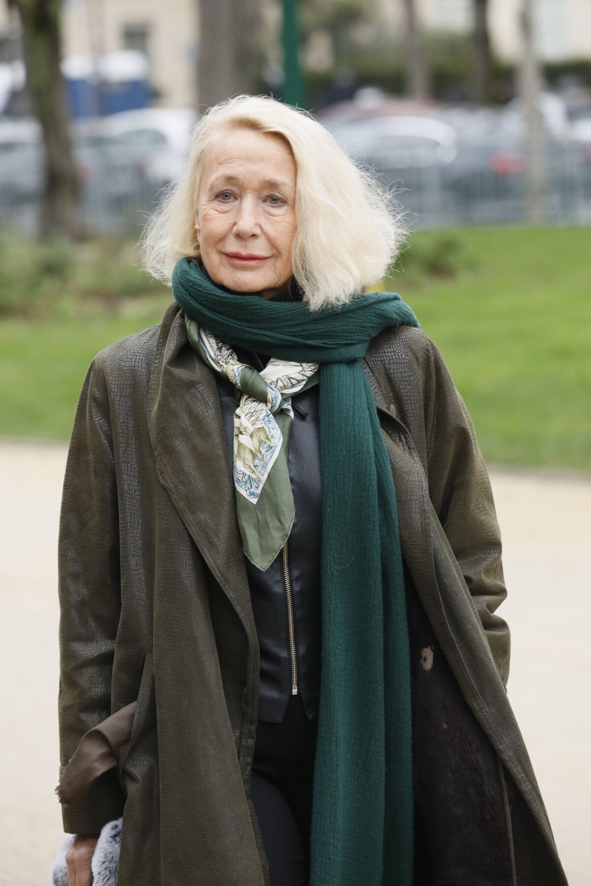 Photo Brigitte Fossey Arrivées au théâtre Marigny pour l'hommage à