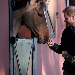 Le prince Harry, duc de Sussex et Meghan Markle (enceinte), duchesse de Sussex en visite à la Fédération Royale Marocaine de Sports Equestres à Rabat, lors de leur voyage officiel au Maroc. Le 25 février 2019