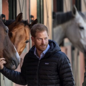 Le prince Harry, duc de Sussex et Meghan Markle (enceinte), duchesse de Sussex en visite à la Fédération Royale Marocaine de Sports Equestres à Rabat, lors de leur voyage officiel au Maroc. Le 25 février 2019