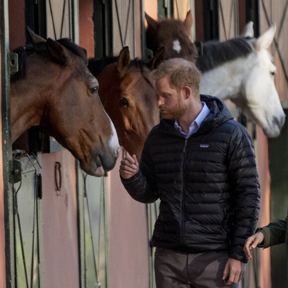 Le prince Harry, duc de Sussex et Meghan Markle (enceinte), duchesse de Sussex en visite à la Fédération Royale Marocaine de Sports Equestres à Rabat, lors de leur voyage officiel au Maroc. Le 25 février 2019