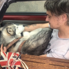 Pete Doherty et son chien. Juillet 2018.
