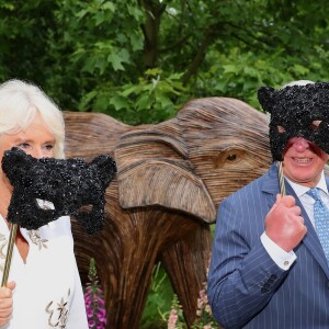 Le prince Charles, prince de Galles, et Camilla Parker Bowles, duchesse de Cornouailles lors de la réception de l'Animal Ball organisée par l'ONG "Elephant Family" à la Clarence House. Depuis sa création en 2002, Elephant Family a financé plus de 200 projets en Inde, en Thaïlande, au Myanmar, au Cambodge, à Sumatra et à Bornéo. Ces projets ont permis de reconnecter des fragments de forêt, de rétablir les voies de migration, d'éradiquer les commerces illicites et de trouver des moyens permettant aux humains et aux éléphants de vivre plus proches les uns des autres, de renforcer la tolérance de la population locale à l'égard de la faune sauvage en minimisant les impacts négatifs sur la vie des animaux et, parallèlement, en minimisant les impacts négatifs que les humains ont sur ces espèces magnifiques et menacées. Londres, le 13 juin 2019.