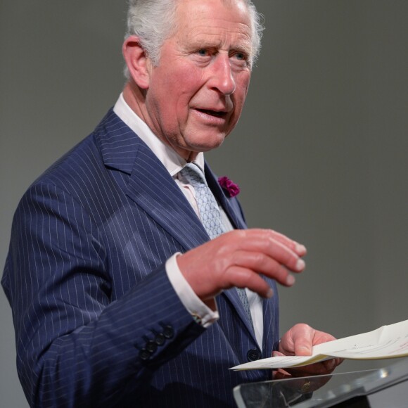 Le prince Charles lors d'une réception "Youth Can Do It" à la galerie Phillips à Londres.