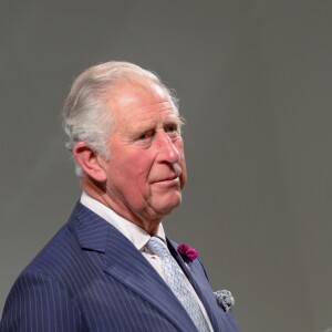 Le prince Charles lors d'une réception "Youth Can Do It" à la galerie Phillips à Londres. Le 12 juin 2019