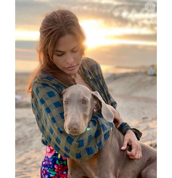 Lucho, le chien adopté par Eva Mendes et Ryan Gosling, juillet 2019.