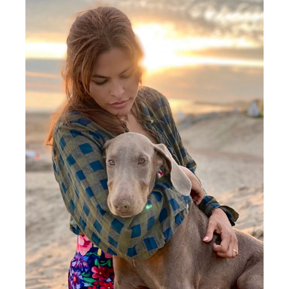 Lucho, le chien adopté par Eva Mendes et Ryan Gosling, juillet 2019.