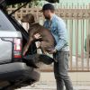 Exclusif - Ryan Gosling promène son adorable chien, à la fin de la balade il le porte dans le coffre de sa voiture, Los Angeles le 12 avril 2019.