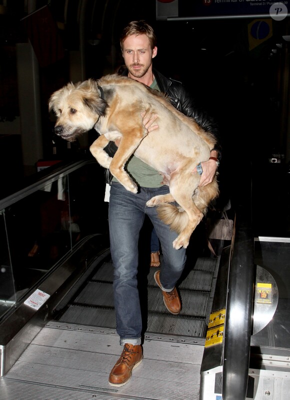 Ryan Gosling et son chien George à l'aéroport de Los Angeles en 2011.