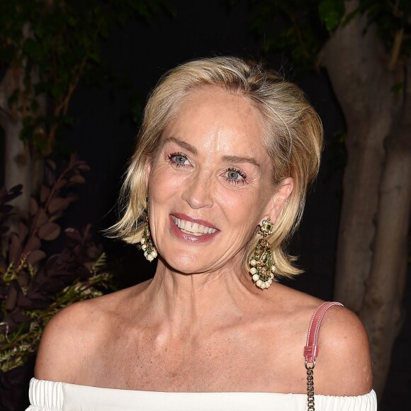 Sharon Stone à la soirée "Brain Health Initiative 100th Anniversary of Women's Suffrage Gala" à Los Angeles, le 17 juillet 2019. © CPA/Bestimage