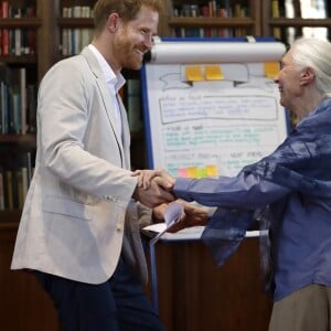 Le prince Harry, duc de Sussex, s'entretient avec le Dr Jane Goodal dans le cadre se son programme Roots & Shoots Global Leadership au chateau de Windsor dans le Berkshire, le 23 juillet 2019.