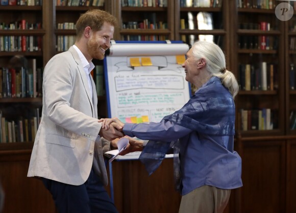 Le prince Harry, duc de Sussex, s'entretient avec le Dr Jane Goodal dans le cadre se son programme Roots & Shoots Global Leadership au chateau de Windsor dans le Berkshire, le 23 juillet 2019.