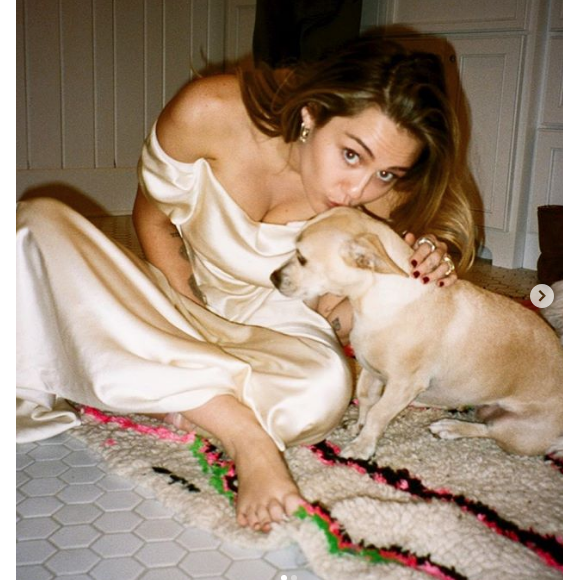 Miley Cyrus va garder les animaux qu'elle partageait avec son mari Liam Hemsworth. Le divorce du couple a été annoncé le 10 août 2019.