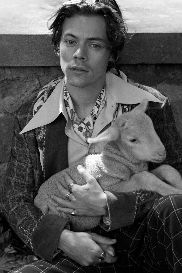 Harry Styles pose pour la nouvelle collection de Gucci