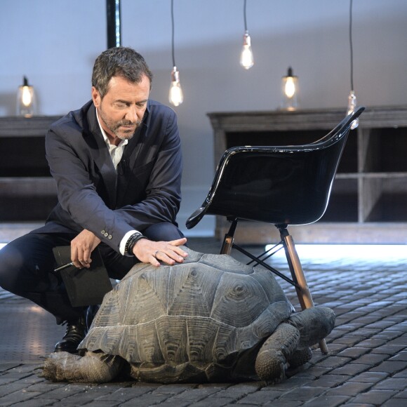 Bernard Montiel - Enregistrement de l'émission "Animaux Stars ", qui sera diffusée le 7 septembre sur la chaine Animaux. Le 26 juin 2019 © Giancarlo Gorassini / Bestimage