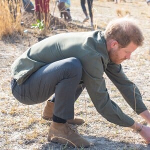 Le prince Harry, duc de Sussex, dans le parc national de Chobe au Botswana lors de sa visite officielle en Afrique australe, le 26 septembre 2019.