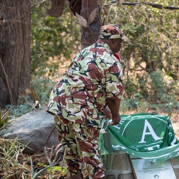 Le prince Harry, duc de Sussex visite le parc national de Liwonde et la forêt Mangochi lors de la huitième journée de la visite royale en Afrique. Liwonde, le 30 septembre 2019.