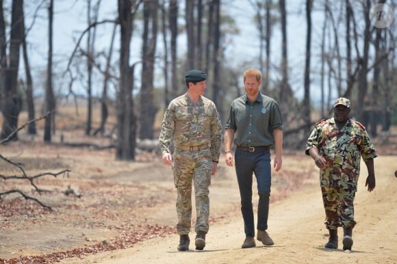 Le prince Harry, duc de Sussex, rend hommage au soldat Mathew Talbot, tué le 5 mai 2019 par un éléphant au Liwonde National Park (Malawi), le 30 septembre 2019, dans le cadre de son voyage officiel en Afrique du Sud.