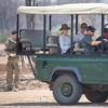 Le prince Harry, duc de Sussex visite le parc national de Liwonde et la forêt Mangochi lors de la huitième journée de la visite royale en Afrique. Liwonde, le 30 septembre 2019.