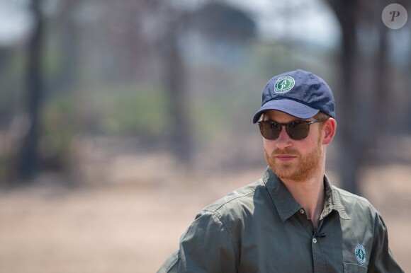 Le prince Harry, duc de Sussex visite le parc national de Liwonde et la forêt Mangochi lors de la huitième journée de la visite royale en Afrique. Liwonde, le 30 septembre 2019.
