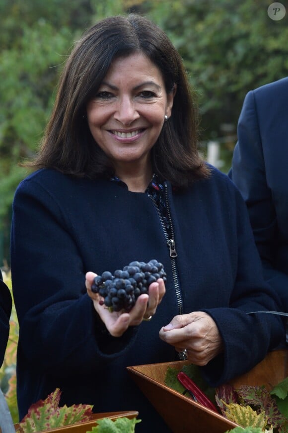 La Maire de Paris Anne Hidalgo - Vendanges des vignes du Clos Montmartre à Paris le 12 octobre 2019. © Giancarlo Gorassini/Bestimage