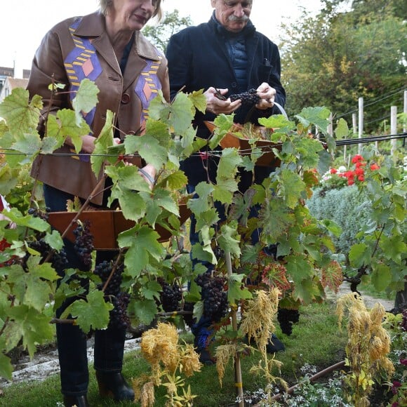 Yann Arthus-Bertrand et Sophie Mounicot (Parrain et marraine de la fête des Vendanges de Montmartre) - Vendanges des vignes du Clos Montmartre à Paris le 12 octobre 2019. © Giancarlo Gorassini/Bestimage