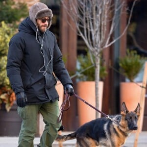 Jake Gyllenhaal promène son chien à New York, le 8 janvier 2015.