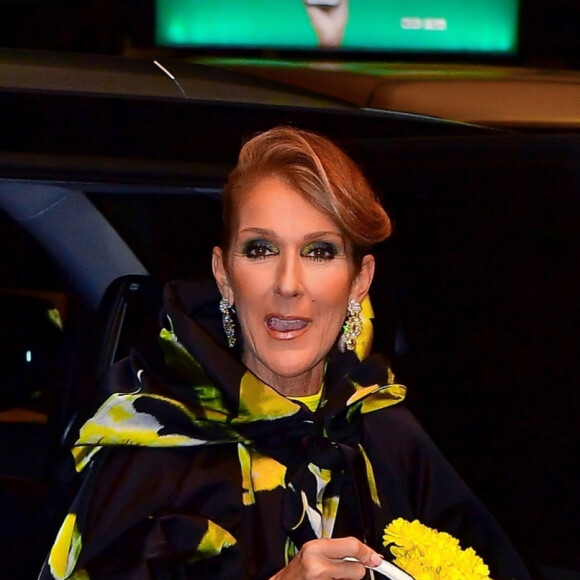 Exclusif - Céline Dion dans les rues de New York, le 12 novembre 2019.