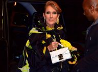 Céline Dion : Nouvelle tenue mode hors de prix avant la sortie de Courage