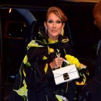 Céline Dion : Nouvelle tenue mode hors de prix avant la sortie de Courage