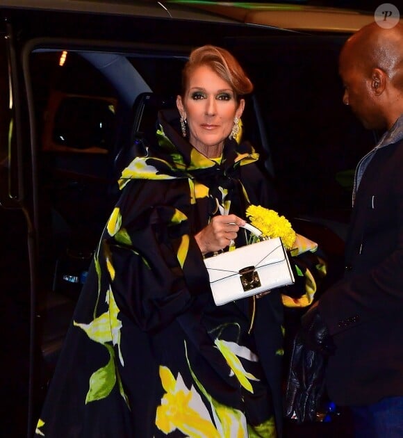 Exclusif - Céline Dion dans les rues de New York, le 12 novembre 2019.