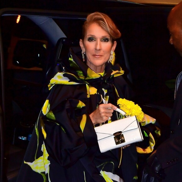 Exclusif - Céline Dion dans les rues de New York, le 12 novembre 2019.