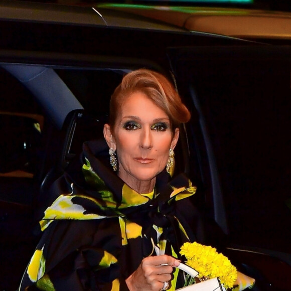 Exclusif - Céline Dion dans les rues de New York, le 12 novembre 2019.