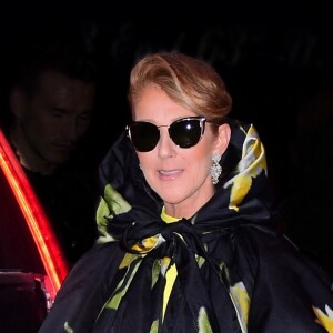 Céline Dion dans les rues de New York, le 12 novembre 2019.