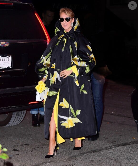 Céline Dion dans les rues de New York, le 12 novembre 2019.