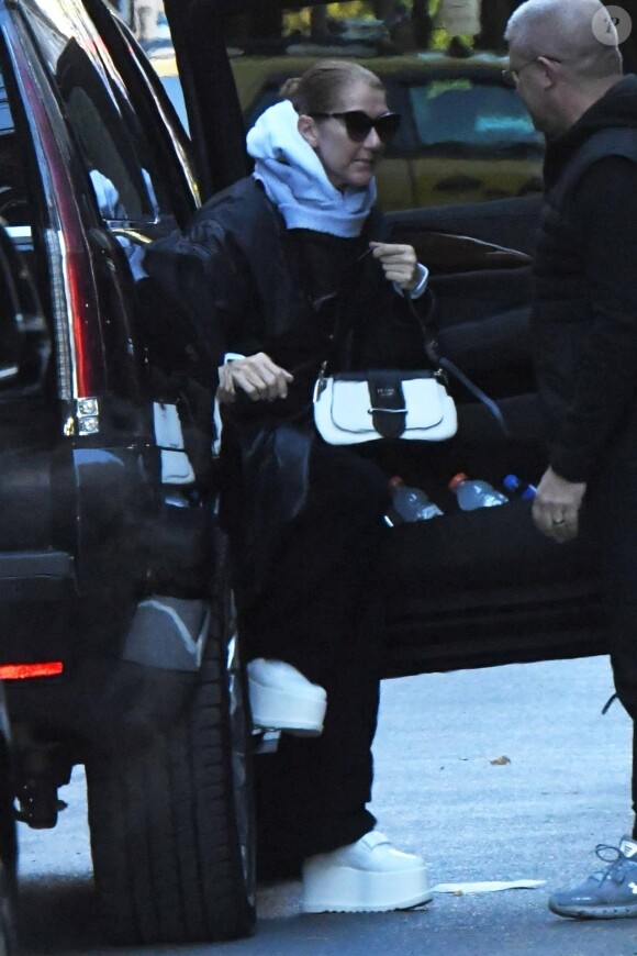 Exclusif - Céline Dion a été aperçue dans les rues de New York, le 13 novembre 2019.
