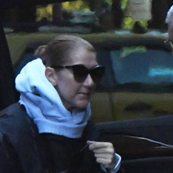 Exclusif - Céline Dion a été aperçue dans les rues de New York, le 13 novembre 2019.