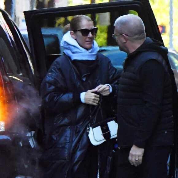 Exclusif - Céline Dion a été aperçue dans les rues de New York, le 13 novembre 2019.