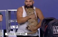 L'humoriste Kader Bueno, qui officie dans "Clique", a fait venir un lionceau sur le plateau, le 19 novembre 2019