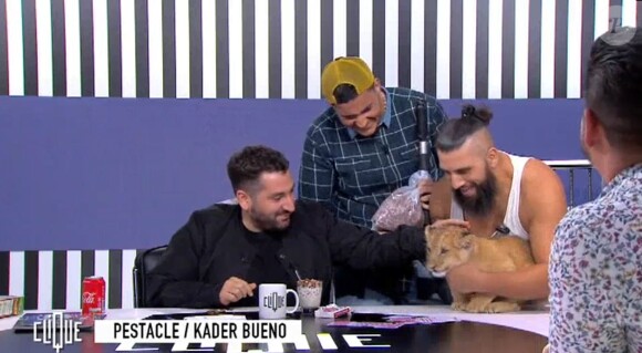 Kader Bueno, humoriste de l'émission "Clique" fait venir un lionceau sur le plateau, le 19 novembre 2019