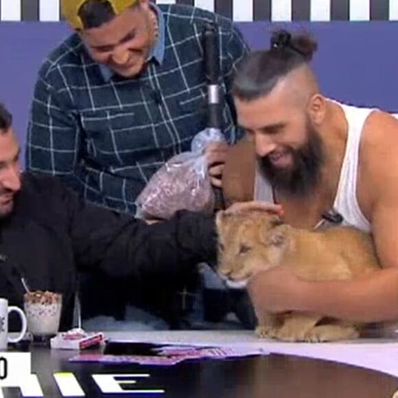 Kader Bueno, humoriste de l'émission "Clique" fait venir un lionceau sur le plateau, le 19 novembre 2019